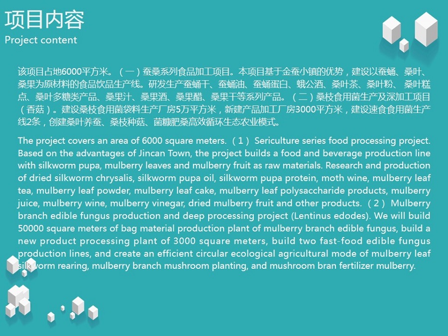 石泉县蚕桑食用产品开发项目(图2)