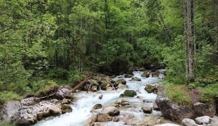 贝希特斯加登位于德国巴伐利亚州东南部的阿尔卑斯山脚下，距离奥地利萨尔茨堡20千米，人口约8千。贝希特斯加登于1978年建立了国家公园，其中包括湖水清澈翠绿的国王湖和德国的第二高峰瓦茨曼山。贝希特斯加登也以希特勒的“鹰巢”而闻名。  图片  国王湖位于德奥边境的小城贝希特斯加登，是形态狭长的高山湖泊，景色与挪威峡湾异曲同工。除了湖光山色，一定不能错过希特勒的生日贺礼——鹰巢。战时的鹰巢主要是希特勒和(图9)