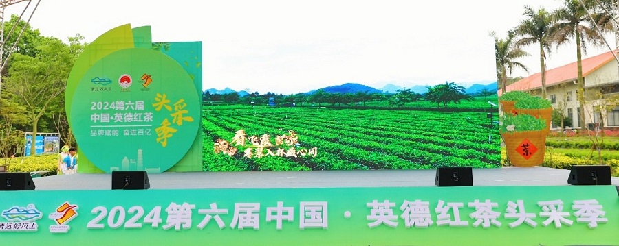 丝路对话委员会受邀参加2024第六届中国·英德红茶头采季开幕活动(图1)