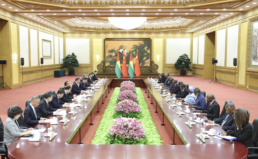 习近平主席同几内亚比绍总统恩巴洛会谈(图2)