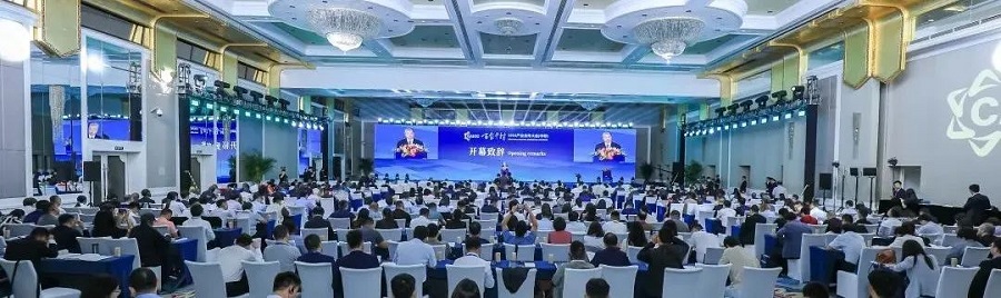丝路对话委员会受邀参加“百企千村”2024产业合作大会（中非）(图10)