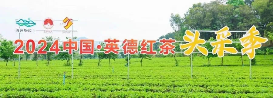 2024年大事记(图56)