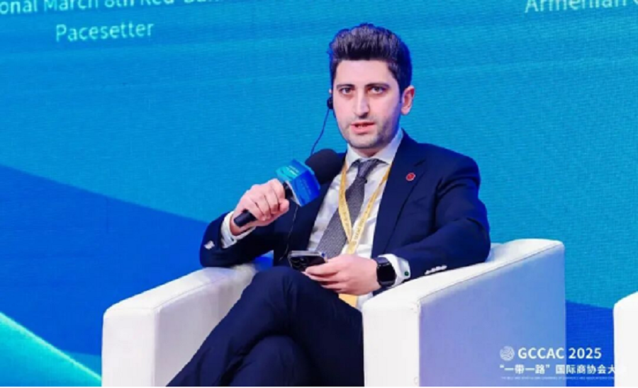 ANSO“一带一路”国际科技企业联盟副理事长兼秘书长、丝路对话创始人崔一婷受邀出席2025“一带一路”国际商协会大会(图5)