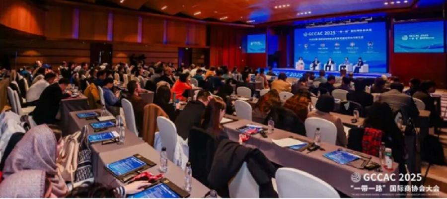 ANSO“一带一路”国际科技企业联盟副理事长兼秘书长、丝路对话创始人崔一婷受邀出席2025“一带一路”国际商协会大会(图12)